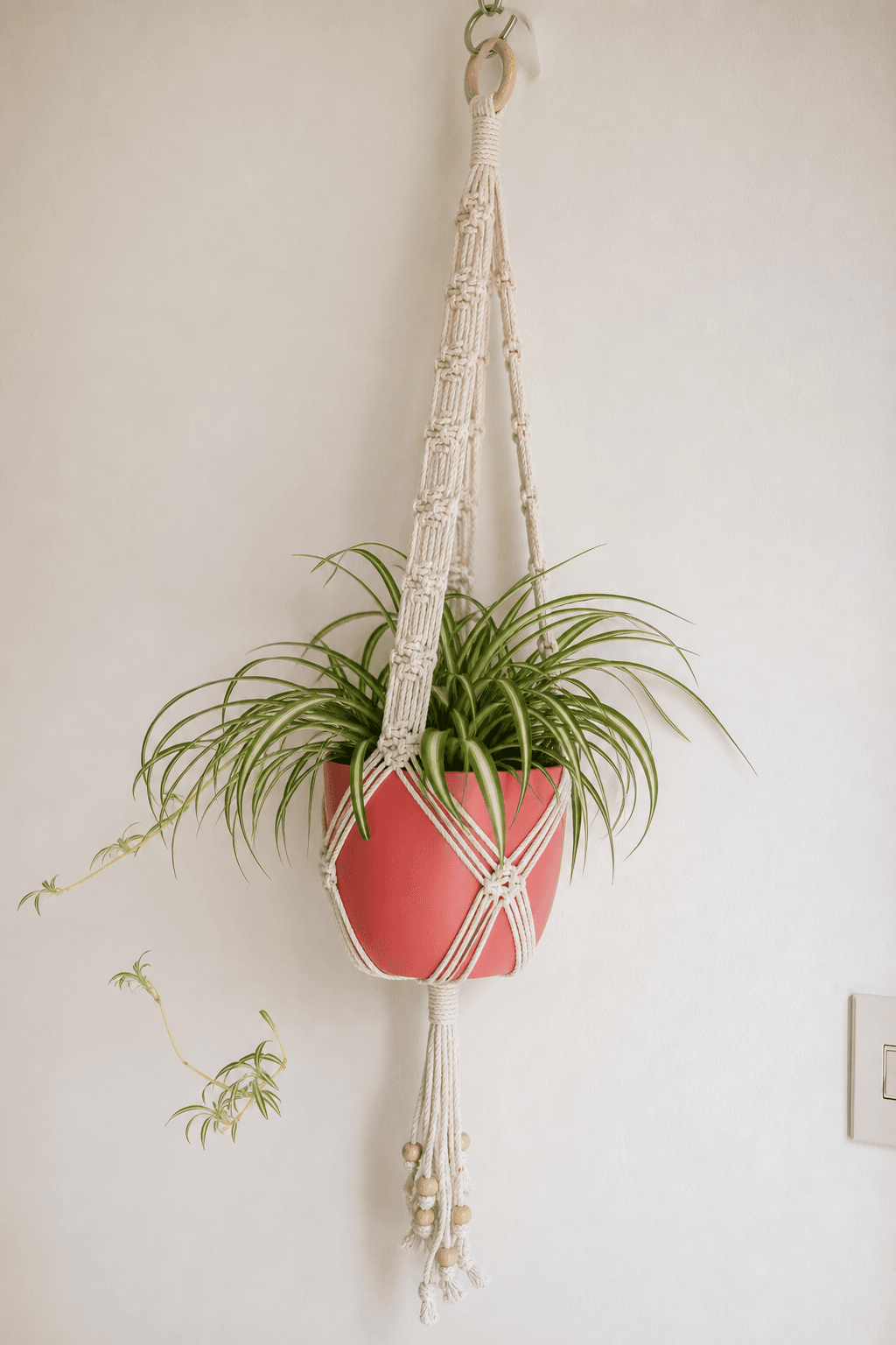 Suspente Plante Macramé Perles Pot Corail