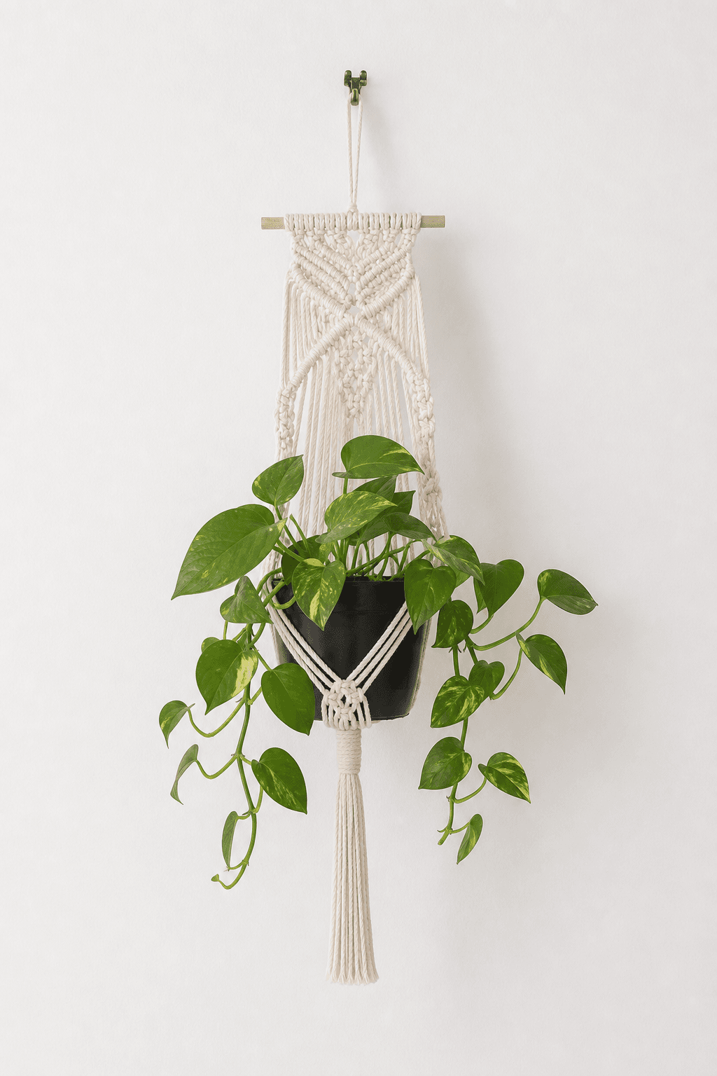 Cache-Pot Mural Macramé Barre Bois Crème